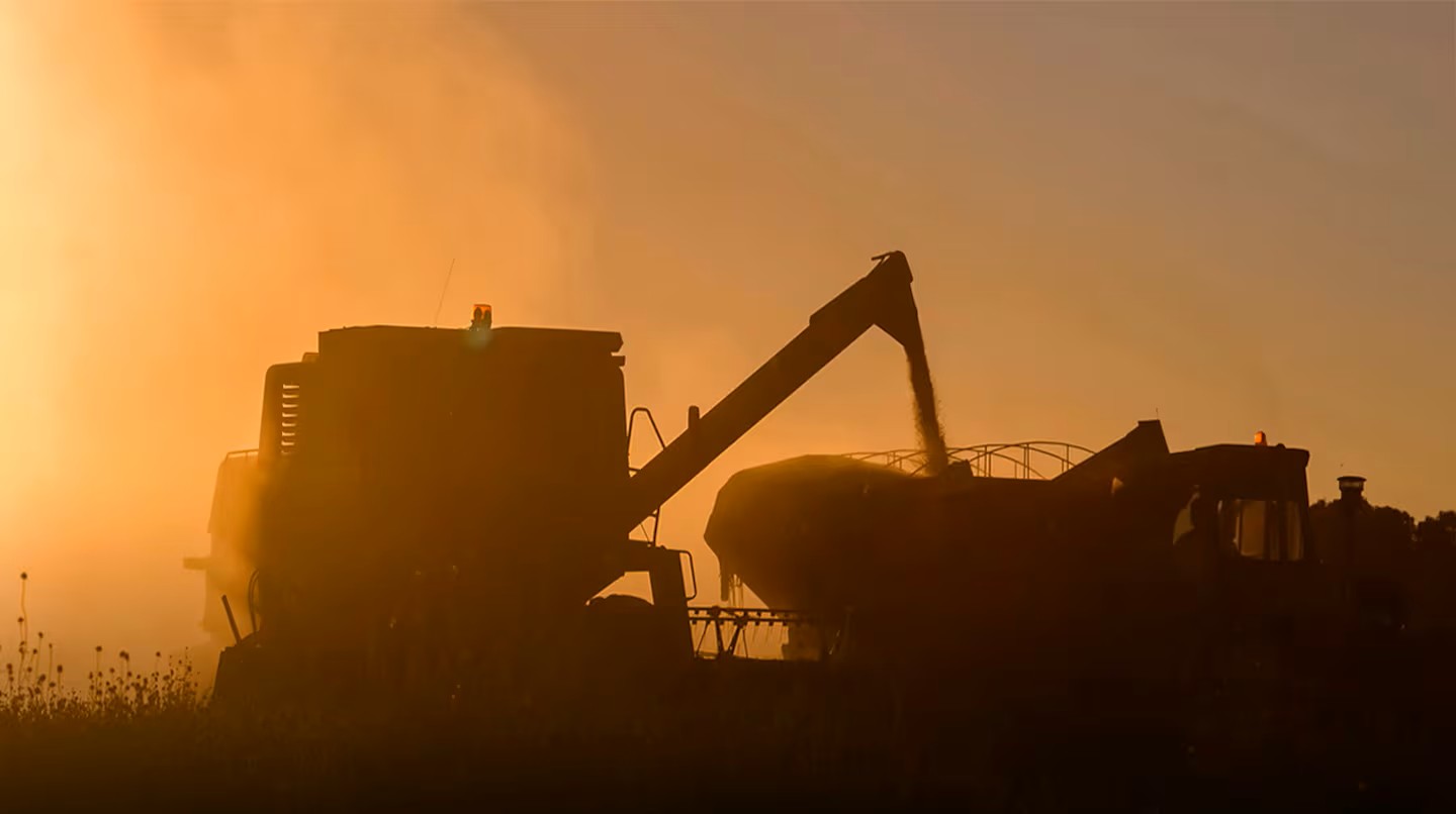 Grave denuncia de la Sociedad Rural en Argentina: "Los costos de producción subirán hasta un 11% por la guerra"