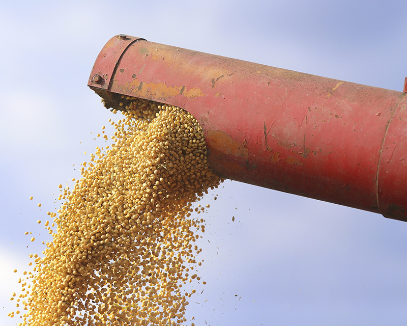 El Estado se queda con el 63,4% de la renta agrícola