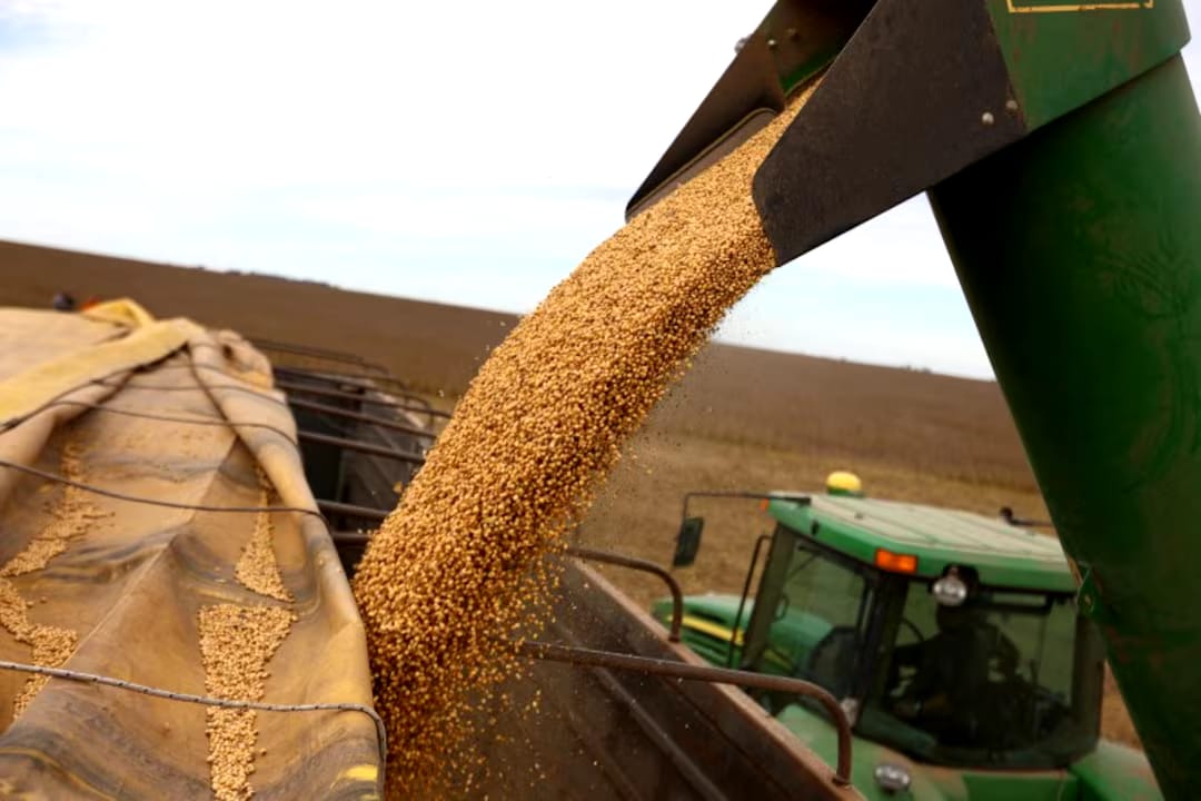 Productores de Rio Cuarto alertan por costos en alza y reclaman a Milei profundizar la baja de retenciones
