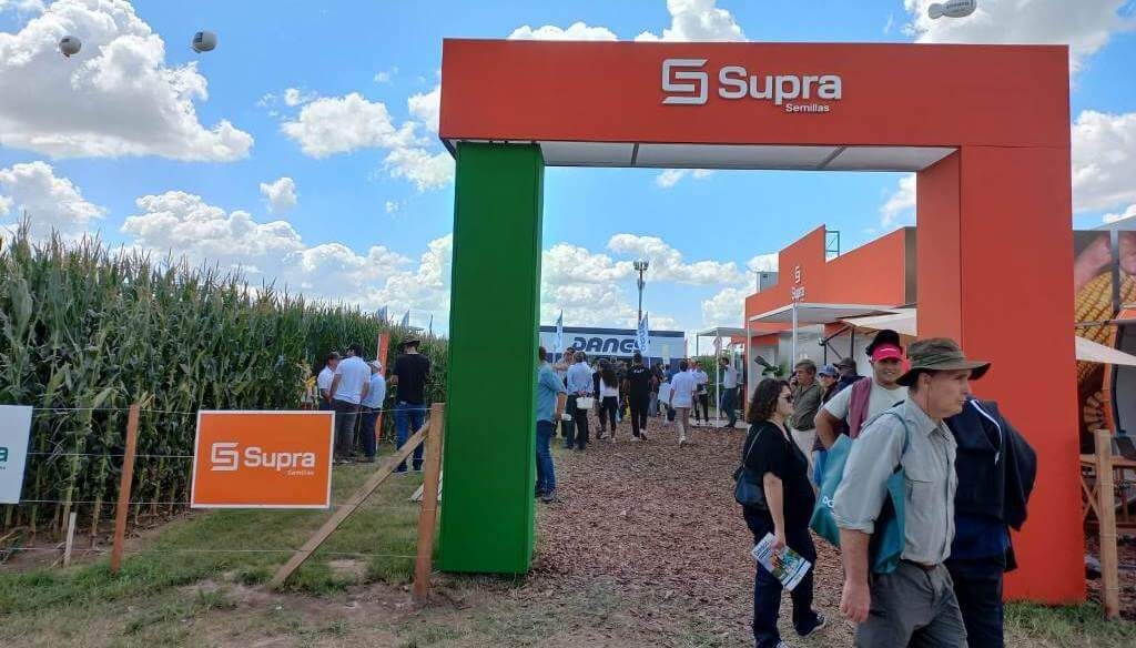 Experiencia SupraRoad: del campo a la genética