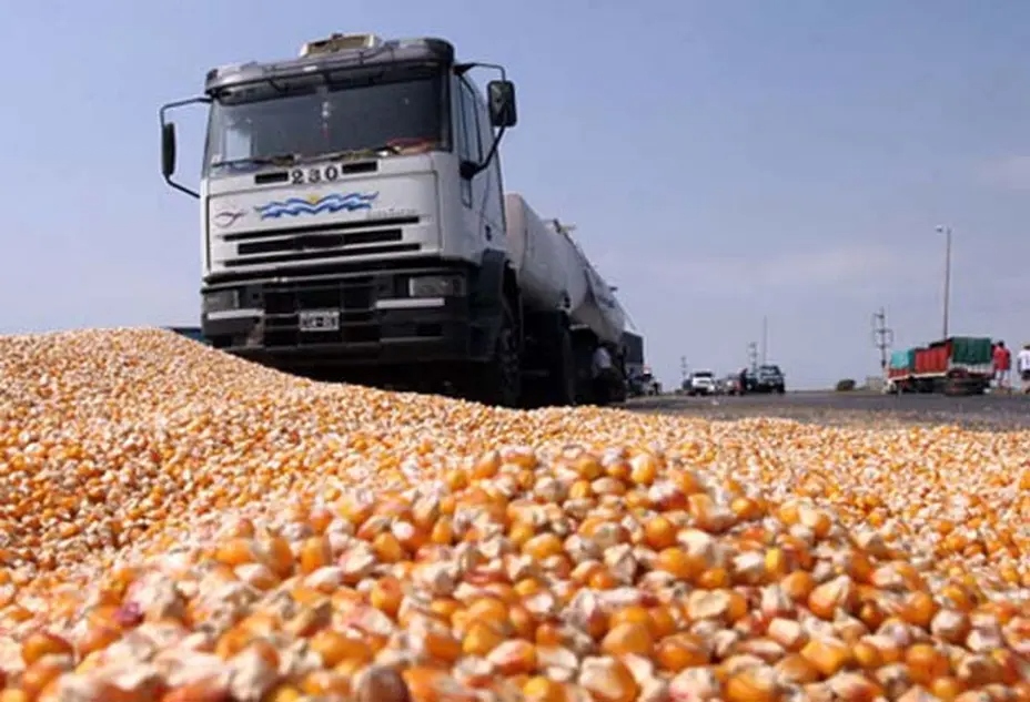 Grave situación en Quequén: Exportadores acusan bloqueo que impide la carga de granos en Buenos Aires