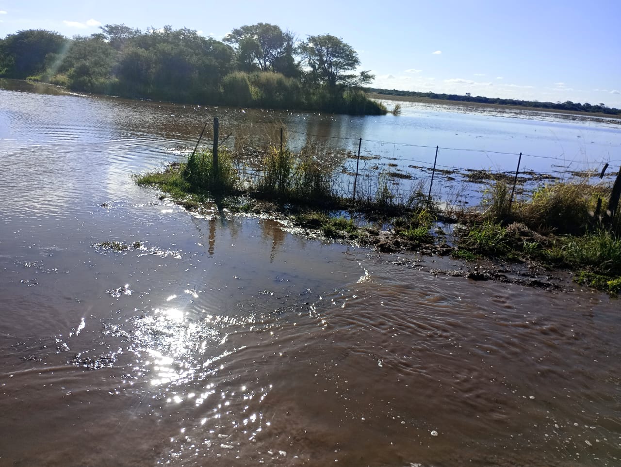 En el sudeste de Santiago del Estero reclaman urgente la emergencia ante las inundaciones generalizadas con pérdidas casi totales