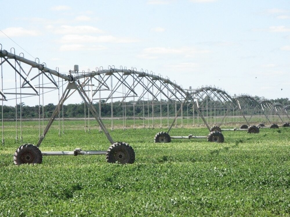 La oportunidad del Riego: Un cambio que potencia la agricultura en Argentina