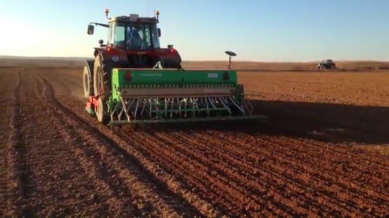 Alerta para la región núcleo: la producción de trigo podría caer un 25% respecto a 2021