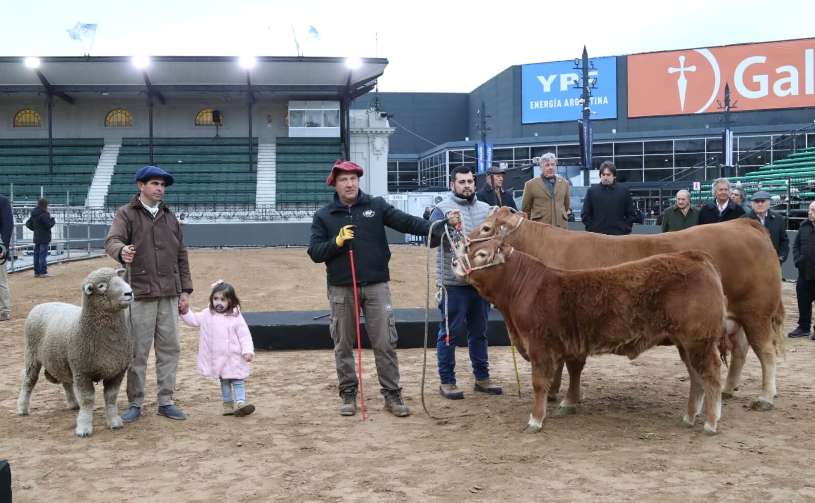 "Tini Tini" y su ternero "De Paul" son los primeros animales en llegar a la Expo Rural