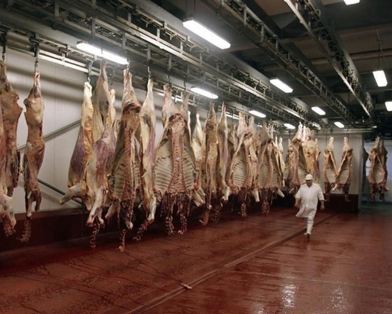 Las exportaciones de carne cayeron un 17% interanual en agosto
