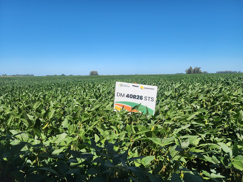 La marca líder en soja apuesta al potencial de rinde del cultivo con genética de punta y manejo de precisión