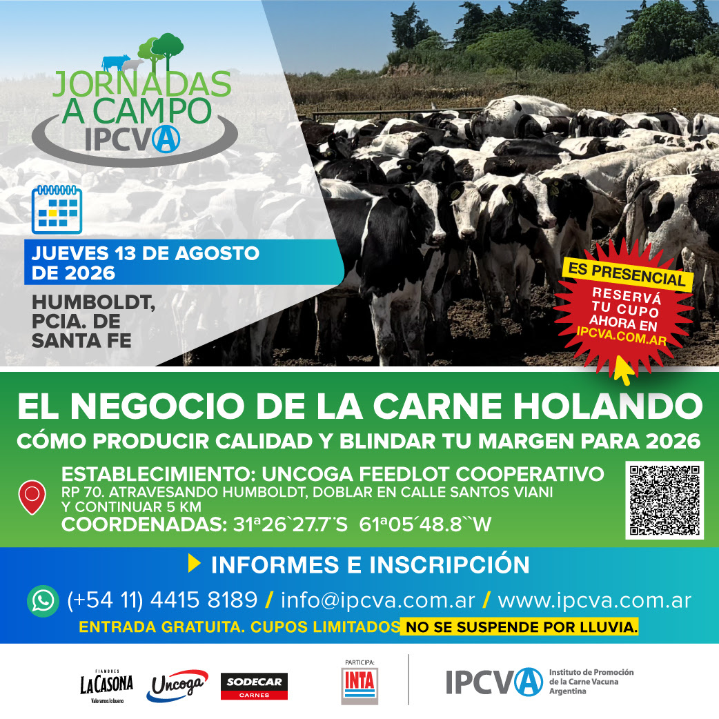 “El negocio de la carne Holando: cómo producir calidad y blindar tu margen”, este jueves en Humboldt