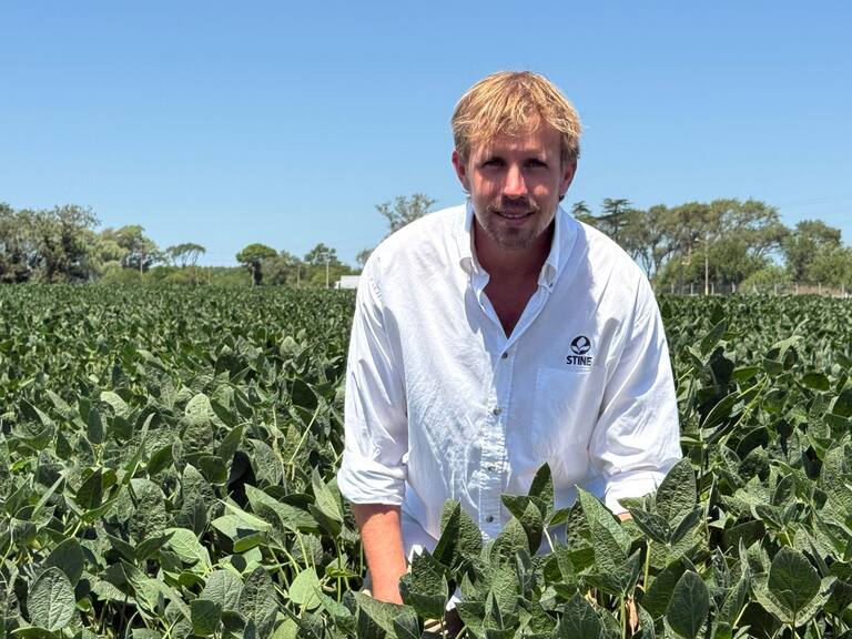 Soja 2026: Stine se prepara para una campaña marcada por "El Niño" y la búsqueda de rendimiento lote por lote