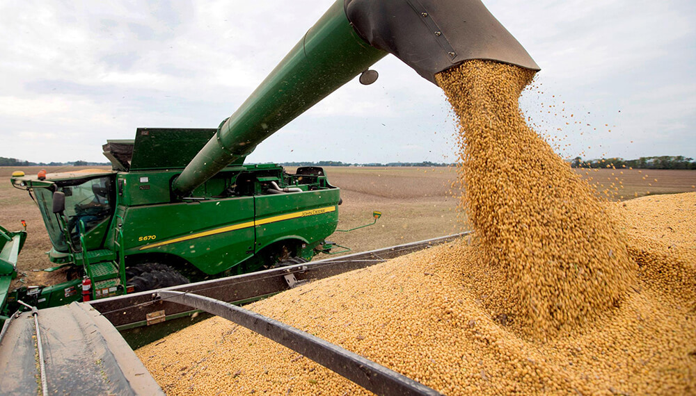 "El fenómeno de La Niña y algunos insumos que han aumentado al 100% impactan en las intenciones de siembra y en el bolsillo del productor", dijo Claudio del Vecchio